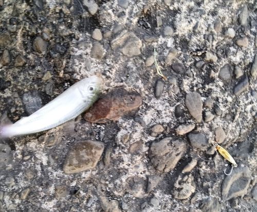 用宗広野海岸公園