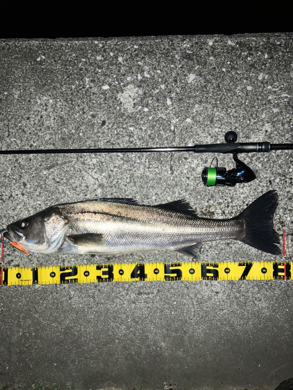 SHIMANO 18ディアルーナ S96MLの最安値・インプレ・釣果 | 本音の