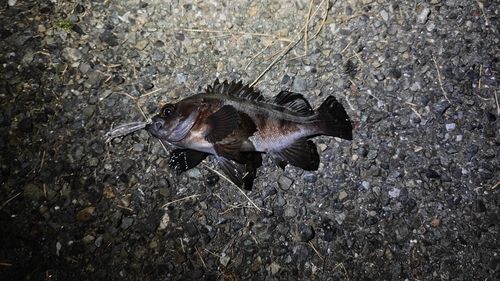 城南島海浜公園