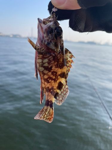 磯子海づり施設