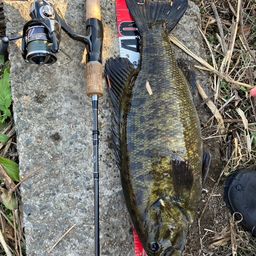 スモールマウスバス