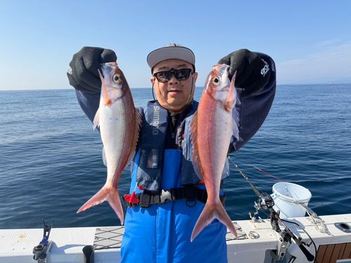 ヒメダイの釣果