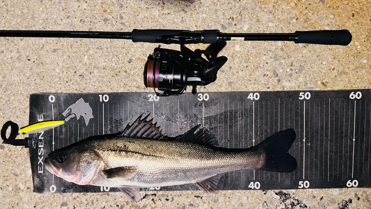 SHIMANO 21エクスセンス 4000MXGの最安値・インプレ・釣果 | 本音の