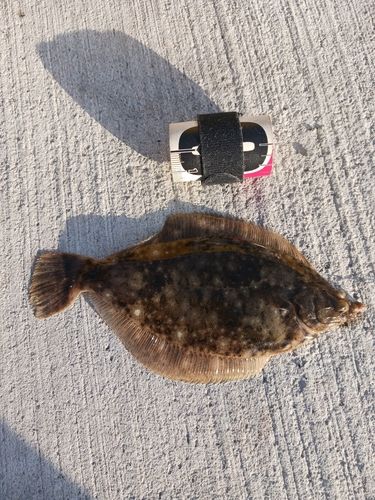 相馬港釣り桟橋