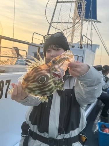 マトウダイの釣果