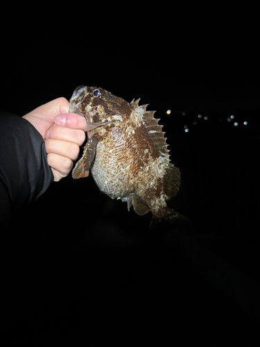 東京湾（アクアライン〜富津）