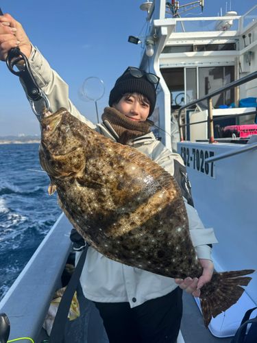 ヒラメの釣果