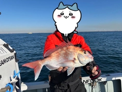 タイの釣果