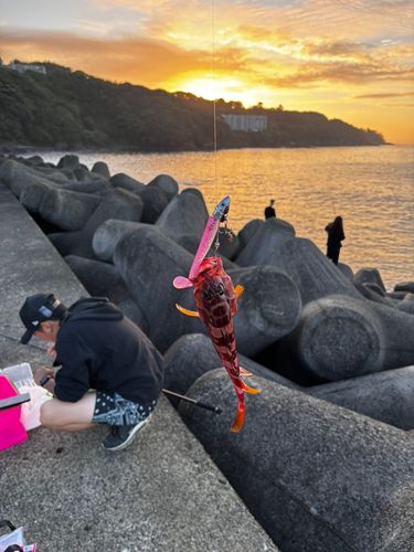 福浦港（湯河原）