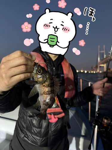 横浜沖堤防 ハナレ