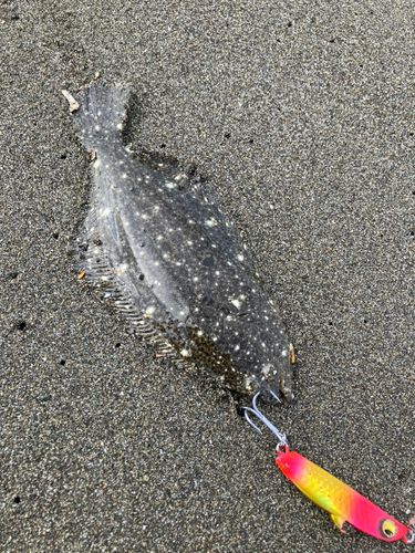 辻堂海浜公園前