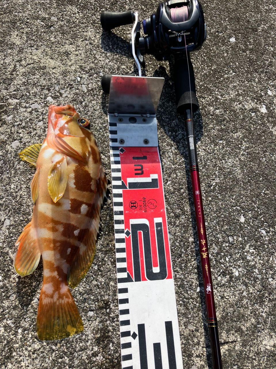 DAIWA 23ソルティスト TW PE SPECIAL 100XHの最安値・インプレ・釣果