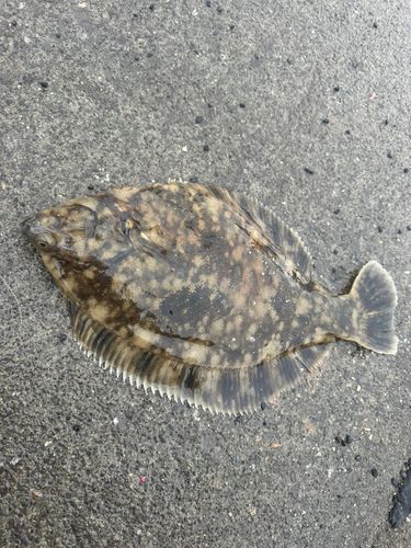 小樽港厩町岸壁