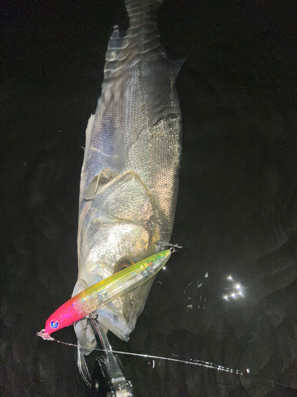 APIA フージン' Z URBAN DINO 90MLの最安値・インプレ・釣果