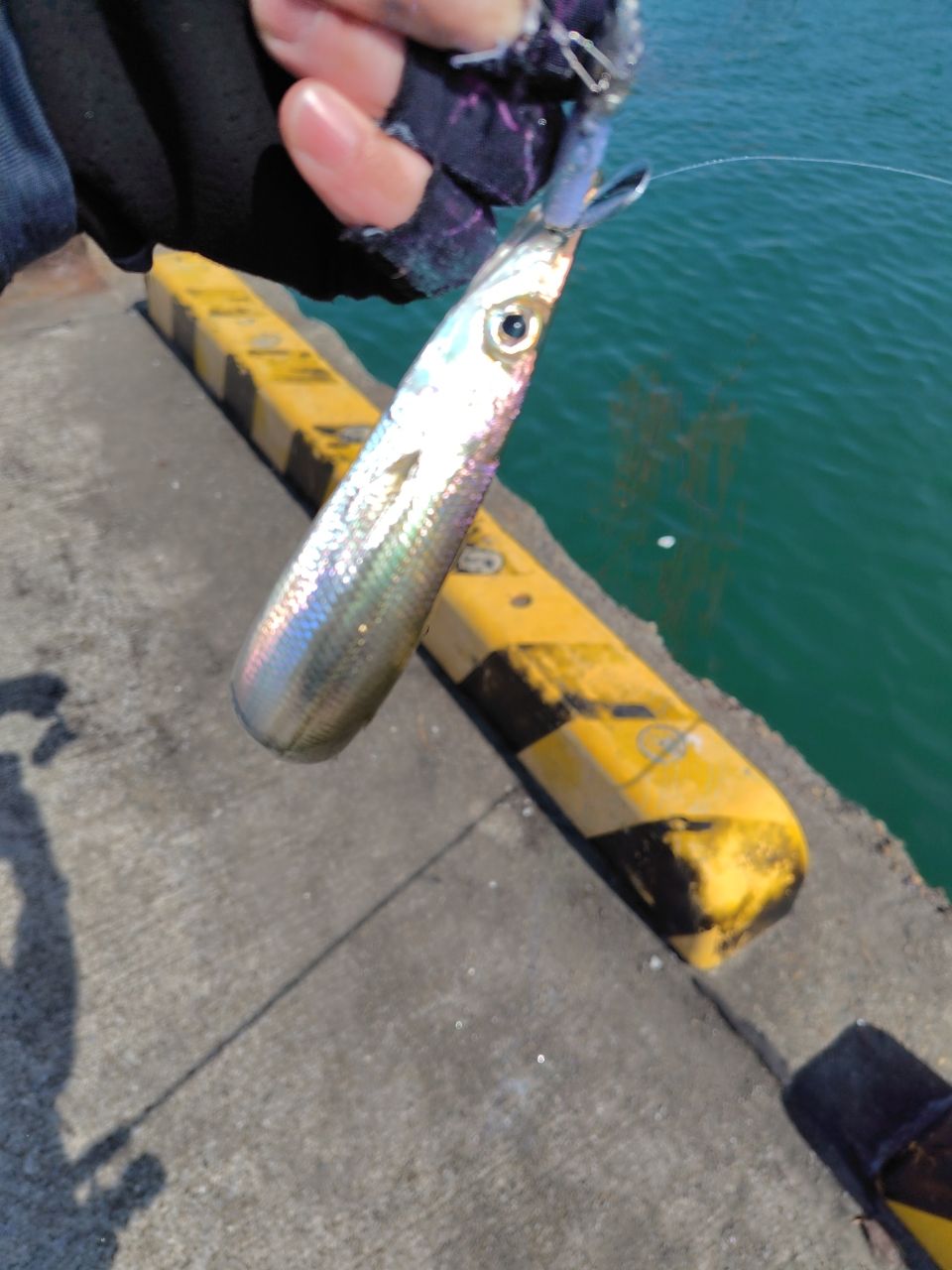 SHIMANO 22ソアレ SS アジング S64L-Sの最安値・インプレ・釣果 | 本音