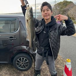 ハネ（マルスズキ）