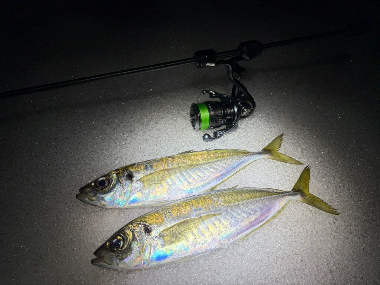 AbuGarcia エラディケーター リアルフィネス プロトタイプ ERFS-60Pro