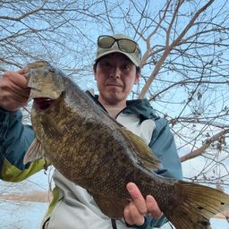 スモールマウスバス