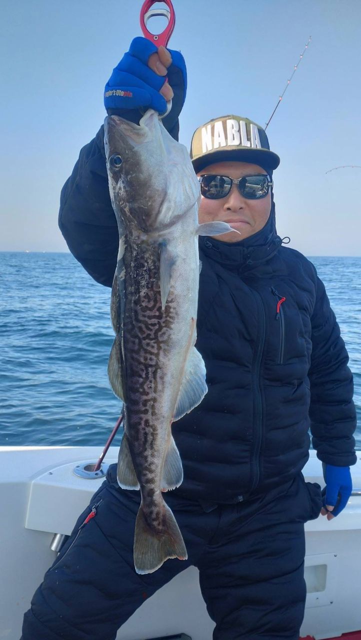 SHIMANO 19オシアジガー ∞ (インフィニティ) B65-3の最安値・インプレ