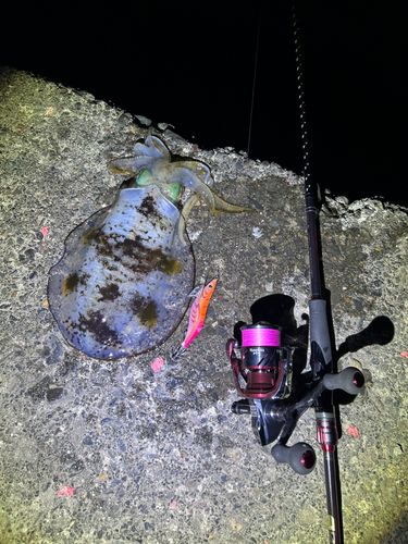 海上つり堀まるや