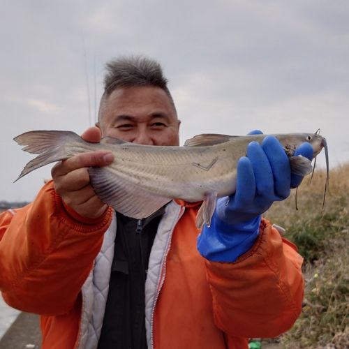 小野川（茨城）