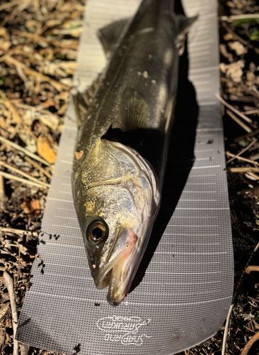 南芦屋浜ベランダ