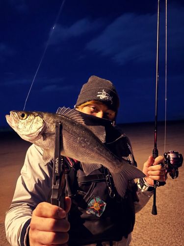 関門海峡（山口）