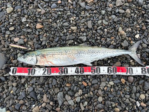 大浜海岸（静岡）