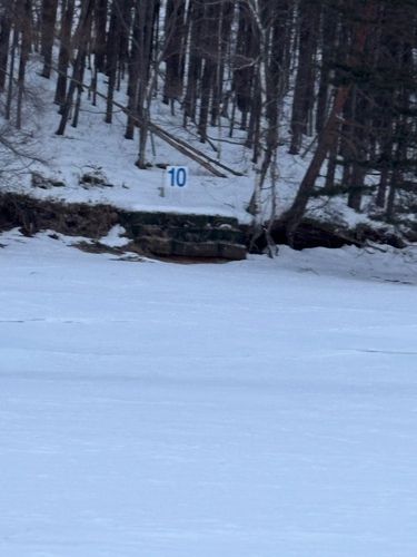 ワカサギの釣果