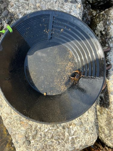 那珂川（茨城〜栃木）