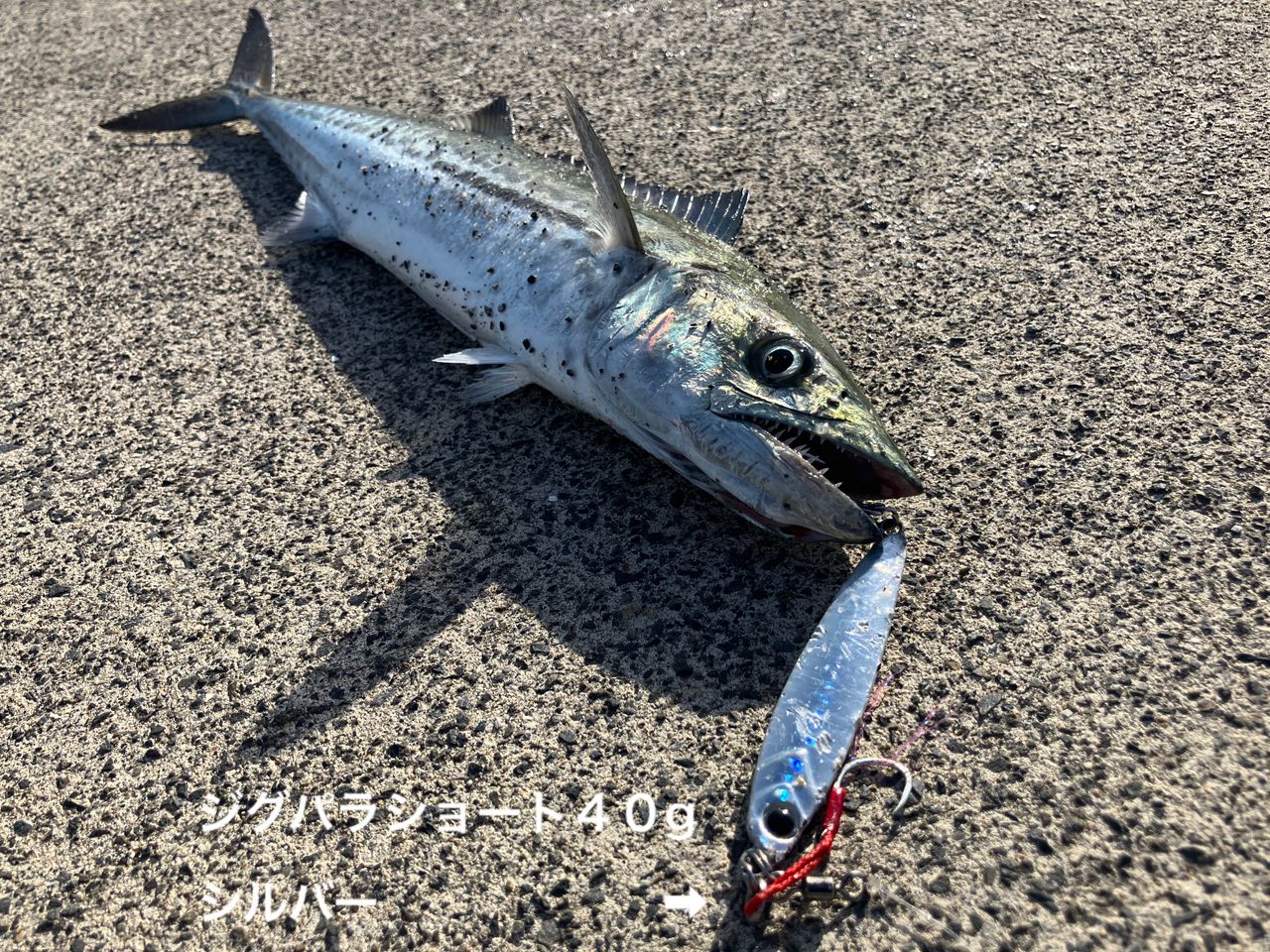 SHIMANO 19コルトスナイパー SS S100MHの最安値・インプレ・釣果