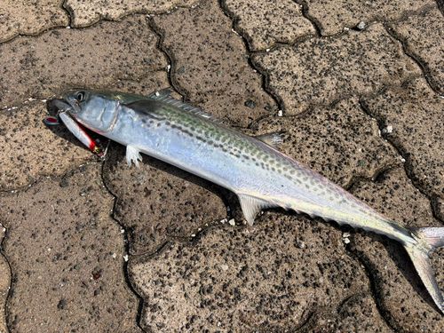 鞠山海遊パーク