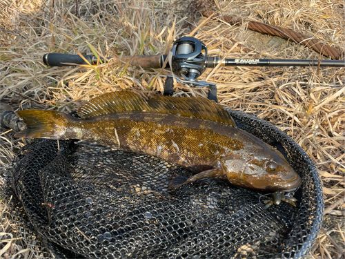 三陸海岸（岩手）