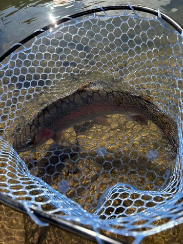 フォレストパークひらかわ