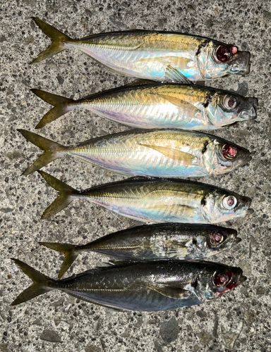 小名浜港アクアマリンふくしま周辺