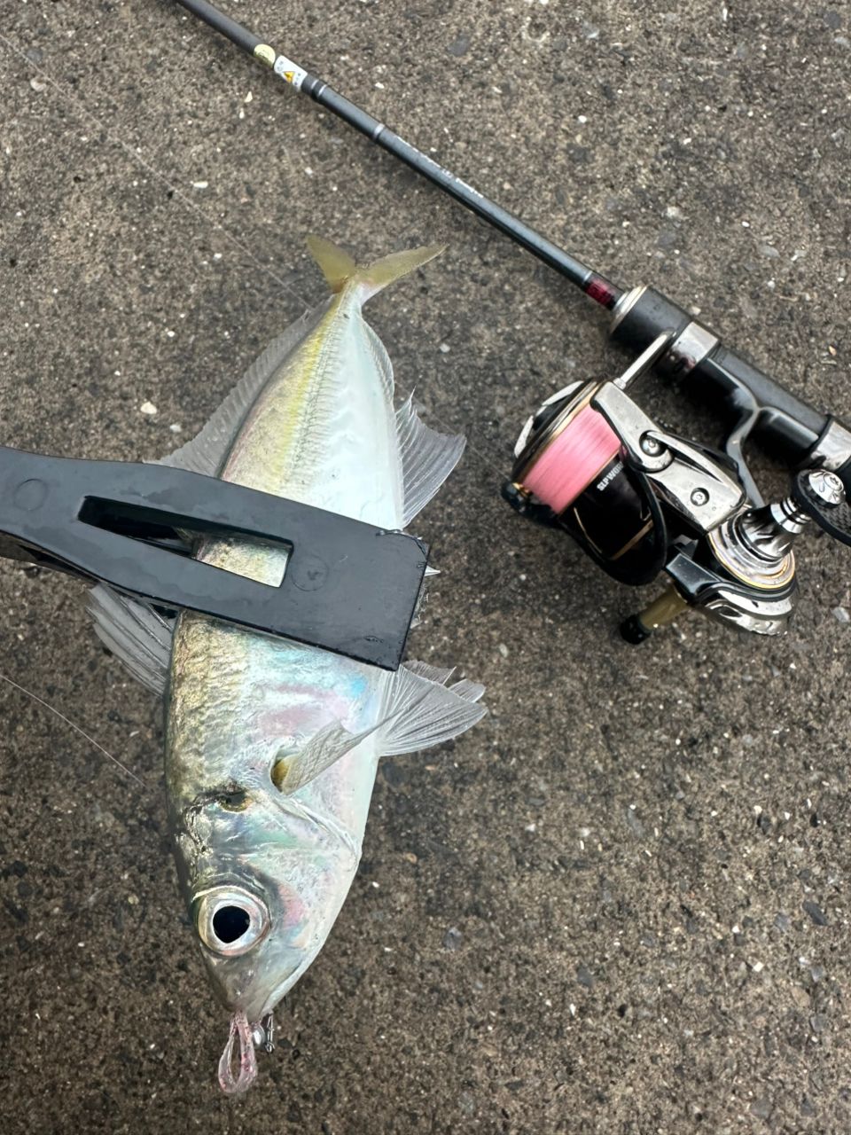 TENRYU ルナキア LK6102S-MLTの最安値・インプレ・釣果 | 本音の口コミ