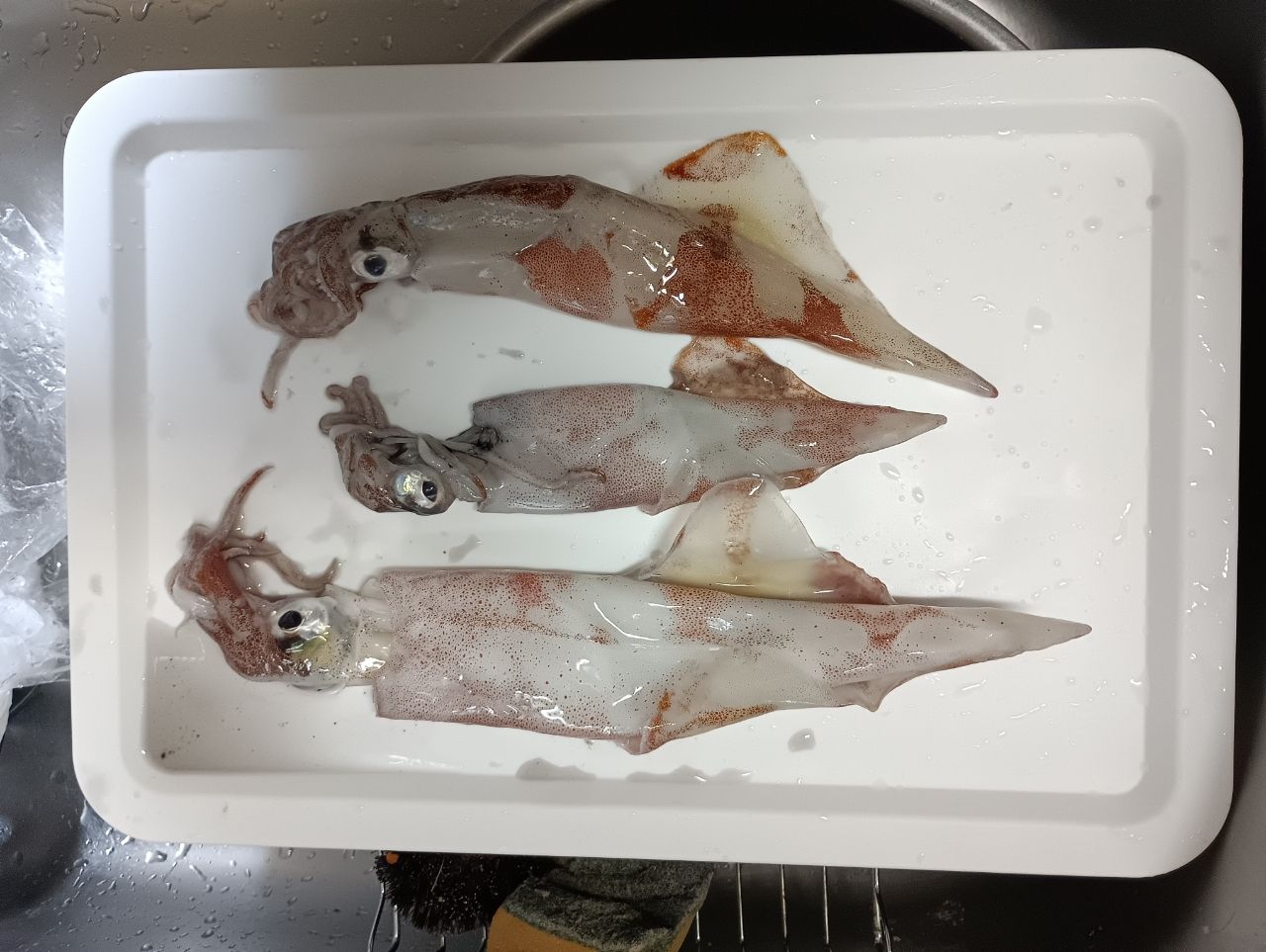 SHIMANO 19ヴァンキッシュ C2500SXGの最安値・インプレ・釣果 | 本音の