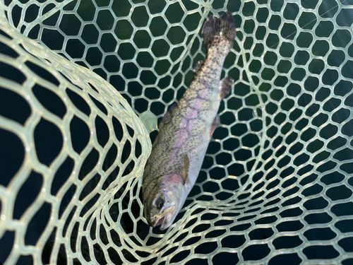 Oyama Water Park 遊水園