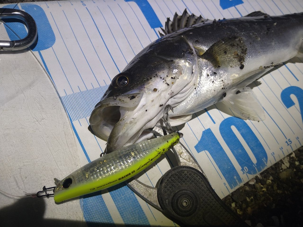 DAIWA 21ラブラックス AGS 100MLの最安値・インプレ・釣果