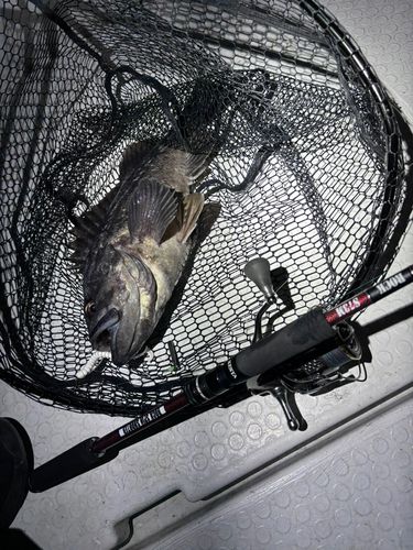 一万トン岸壁（八戸）