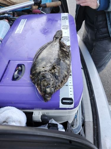 船越湾（岩手）