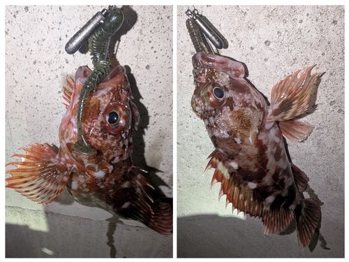 金沢水際線緑地（福浦岸壁）