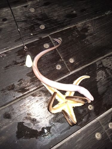 小名浜港アクアマリンふくしま周辺