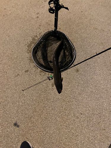 宇品波止場公園