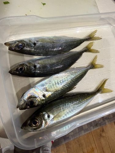 小名浜港アクアマリンふくしま周辺