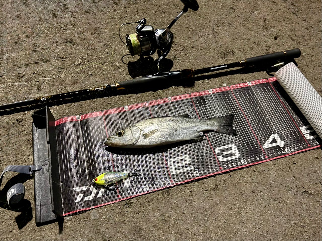 DAIWA 21モアザン ブランジーノ EX AGS 97ML/Mの最安値・インプレ