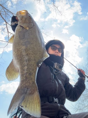スモールマウスバスの釣果