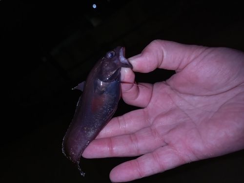 金沢水際線緑地（福浦岸壁）