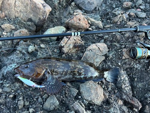 三陸海岸（岩手）