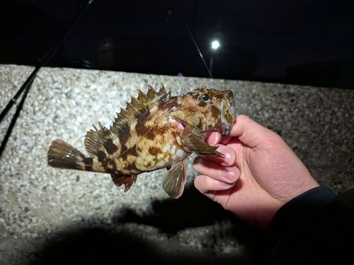 東京湾（アクアライン〜富津）